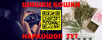 Альфа ПВП Гатчина