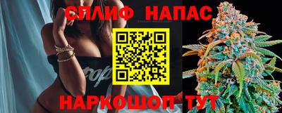 Альфа ПВП Гатчина