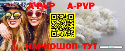 Альфа ПВП Гатчина