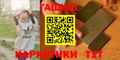Альфа ПВП Гатчина
