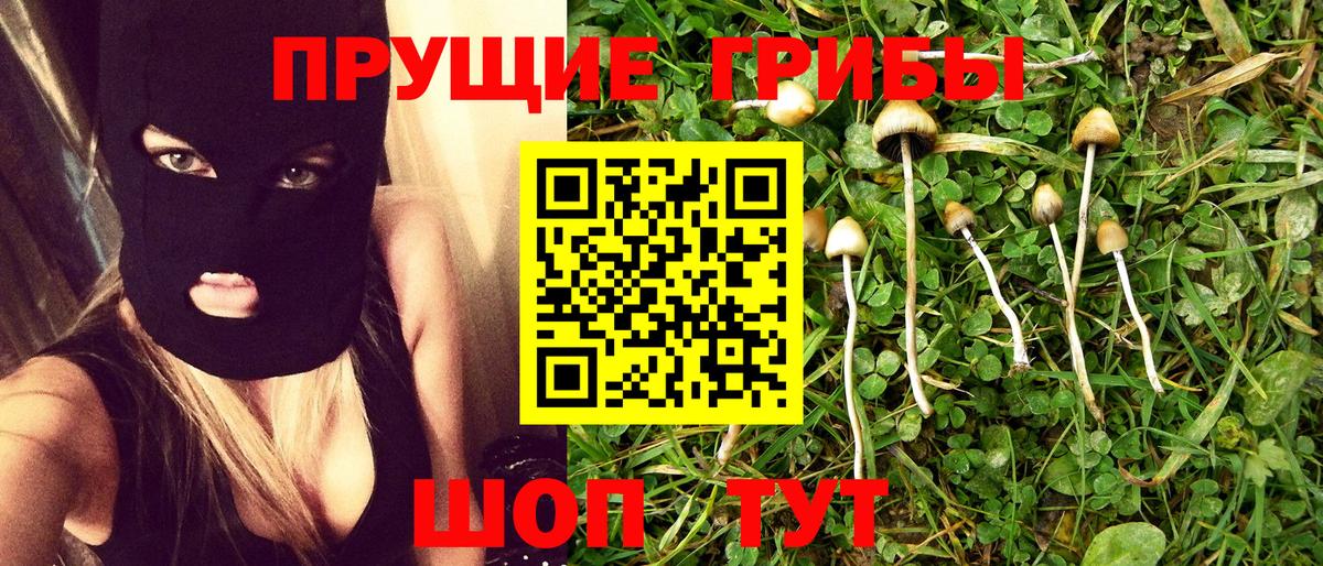 Галлюциногенные грибы MAGIC MUSHROOMS  Вход с VPN  купить   Горячий Ключ 